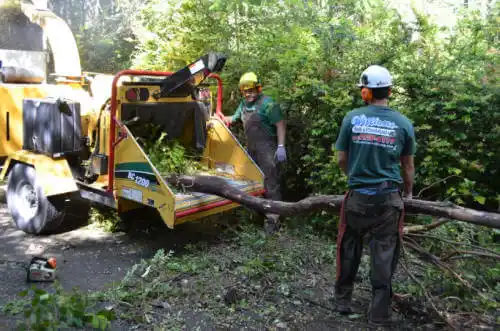 tree services Gustavus